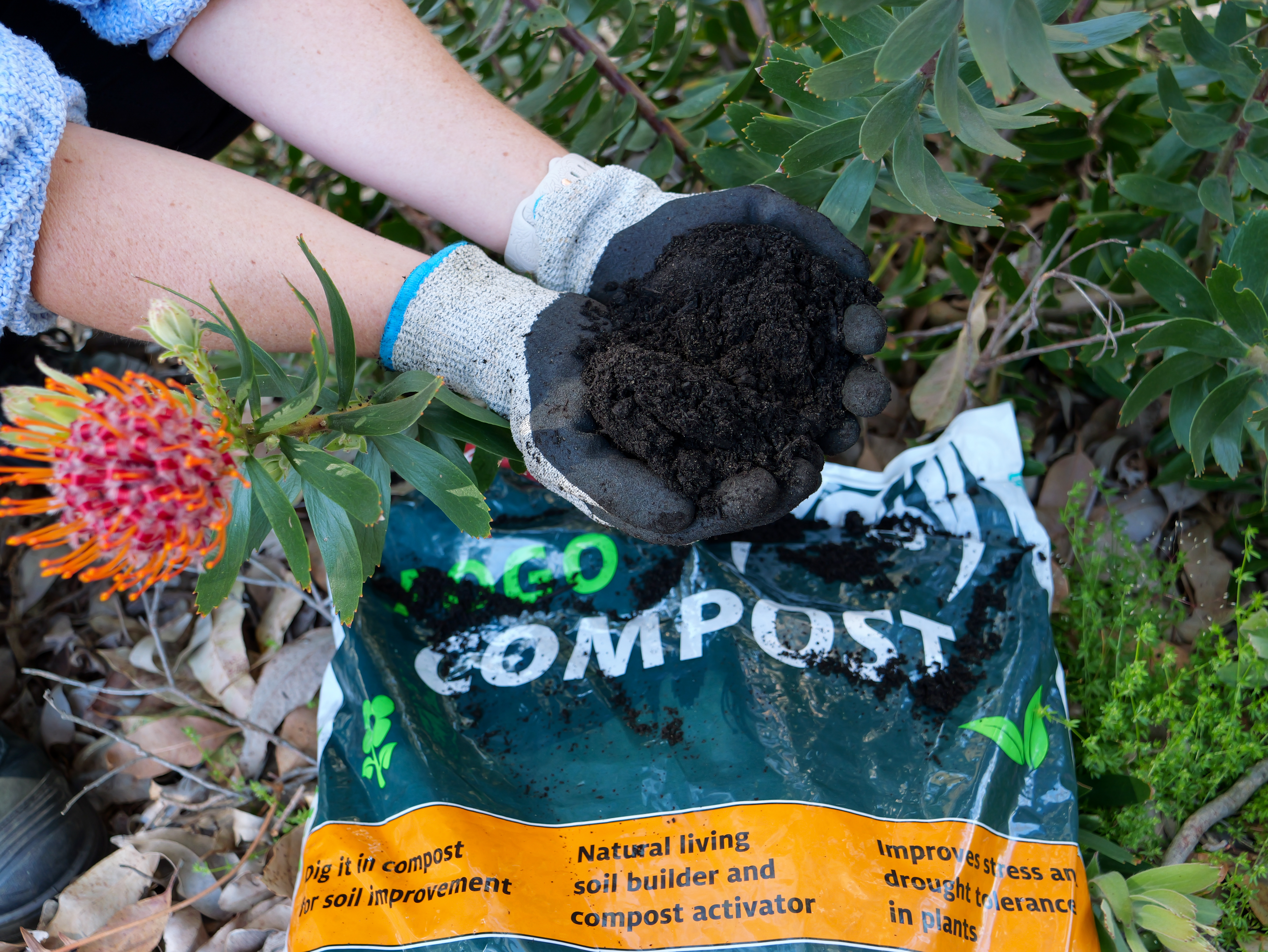 FOGO Comes Full Circle – Collect Your Free Compost Bags