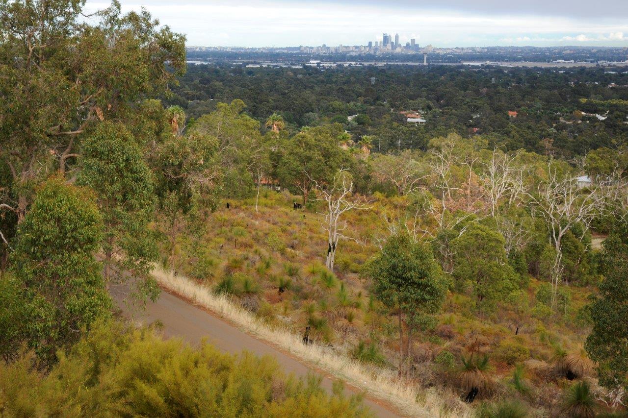 CityandscenicroadviewsfromZigZagScenicDrive