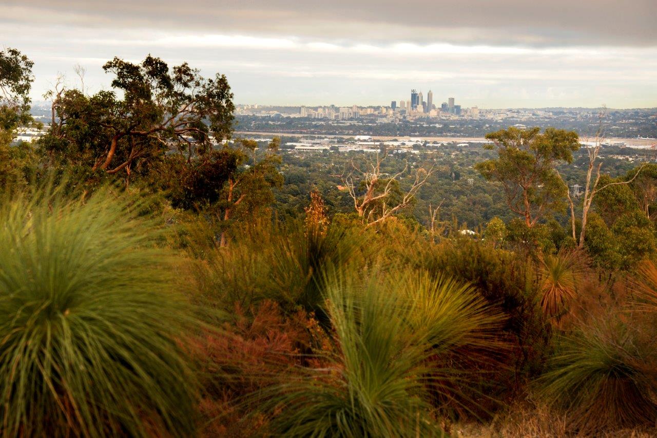 Flora and City views from Zig Zag Scenic Drive 