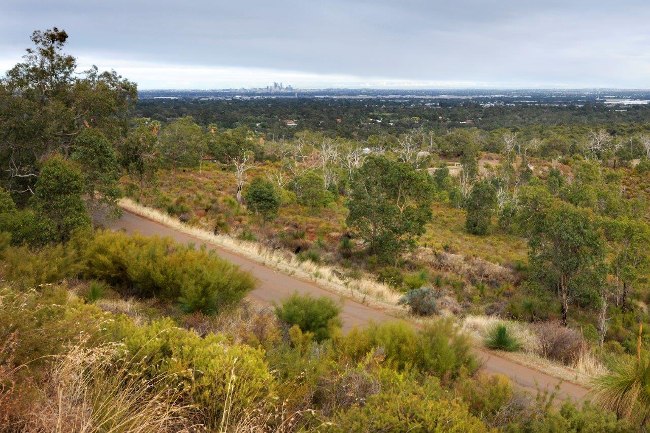 ZigZagScenicRoadViews